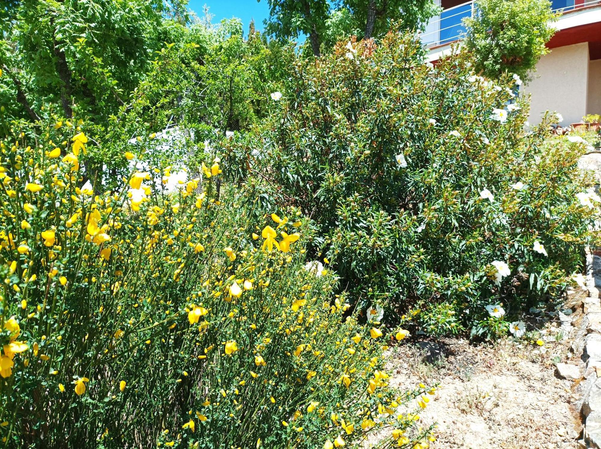 Casa Blanco Holiday home Cercedilla